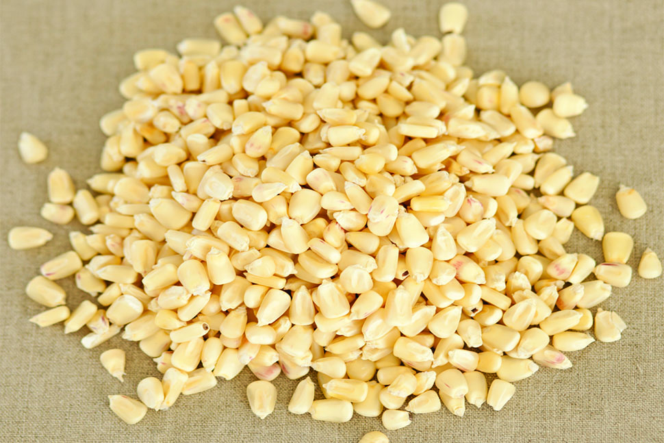 White Maize Corn